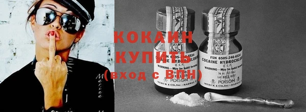 шишки Покачи