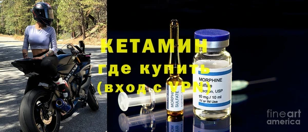 шишки Покачи